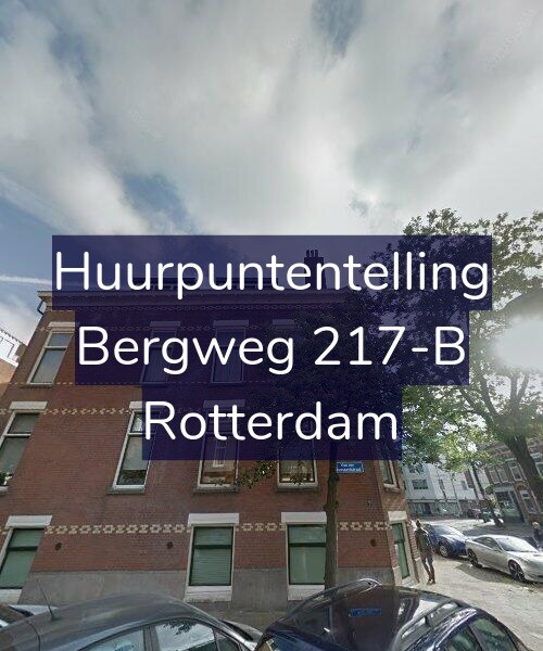 Foto gevel Huurpuntentelling voor Bergweg 217-B, Rotterdam