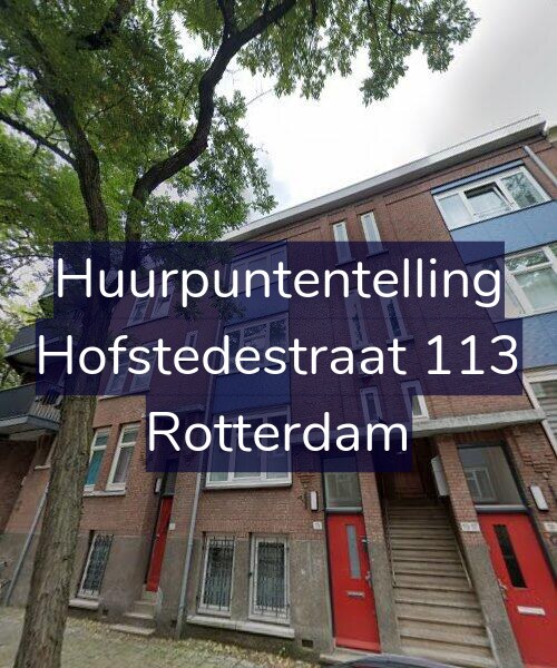 Foto gevel Huurpuntentelling voor Hofstedestraat 113, Rotterdam